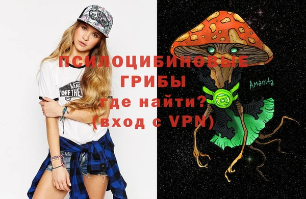 бошки Ельня