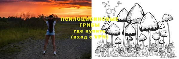 крисы Осташков