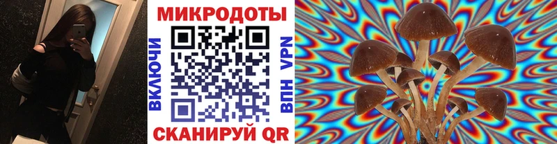 Псилоцибиновые грибы мицелий  Берёзовский 